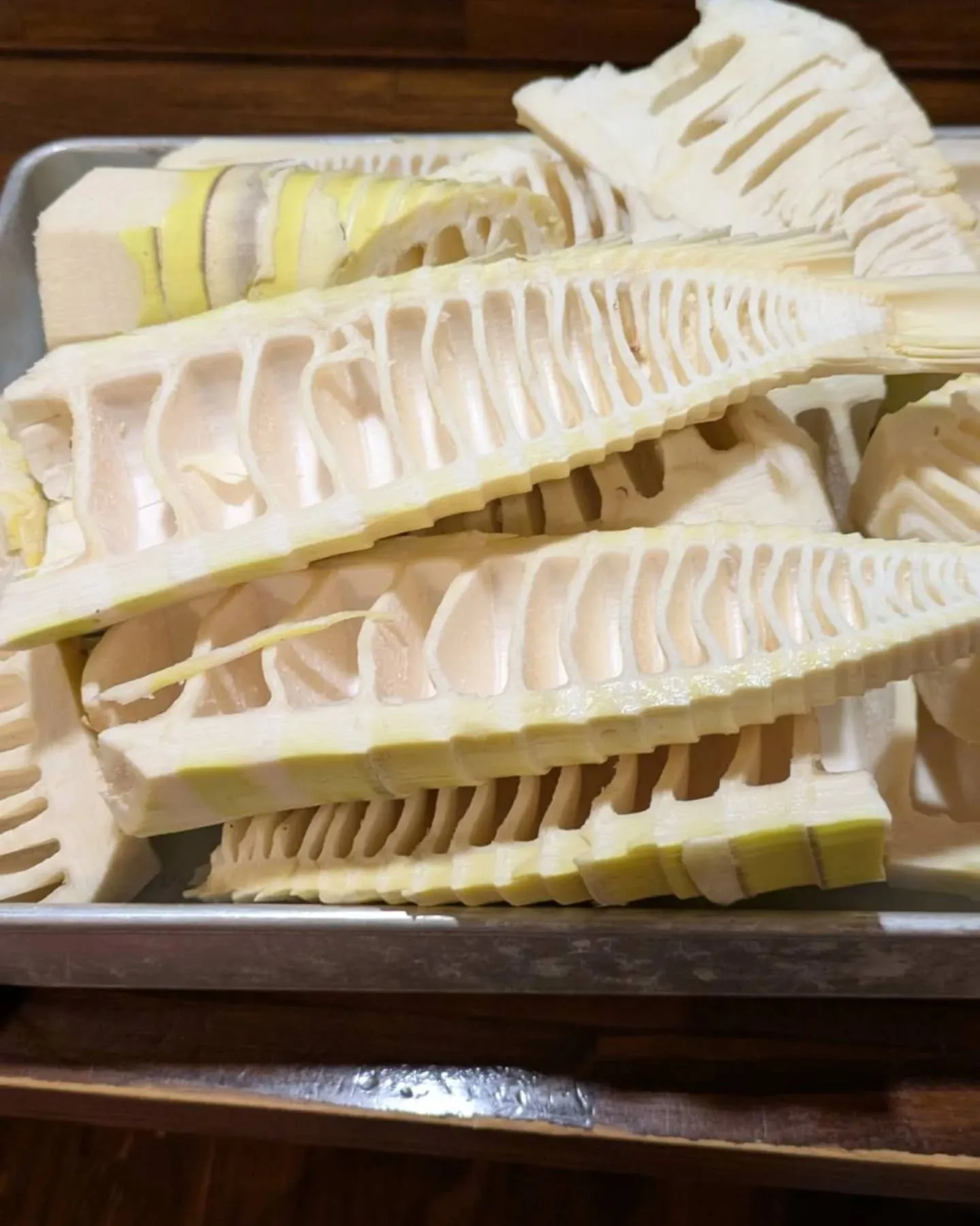 こんばんは!神保町トンちゃんです🐖