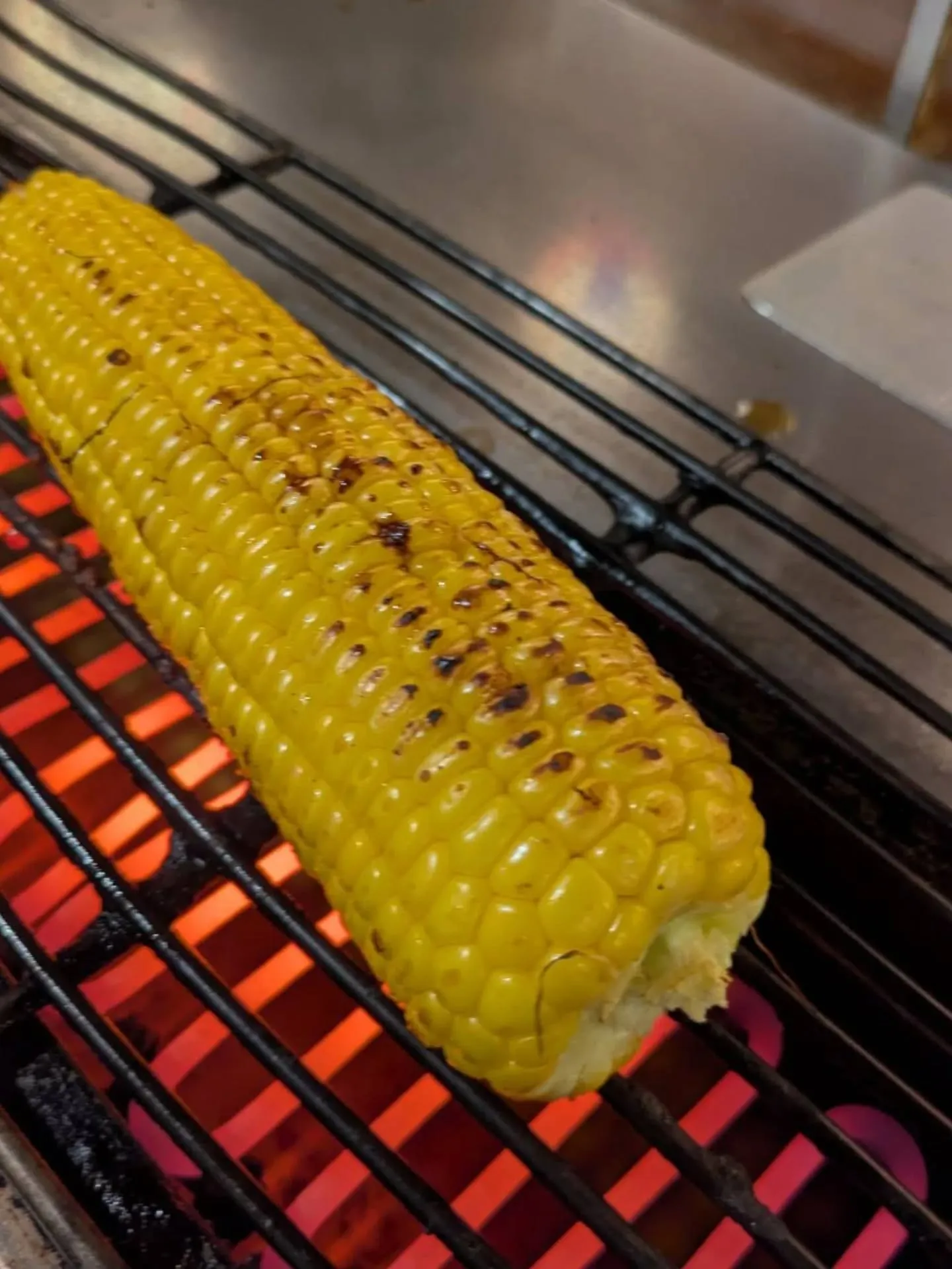 こんばんは！神保町トンちゃんです🐖