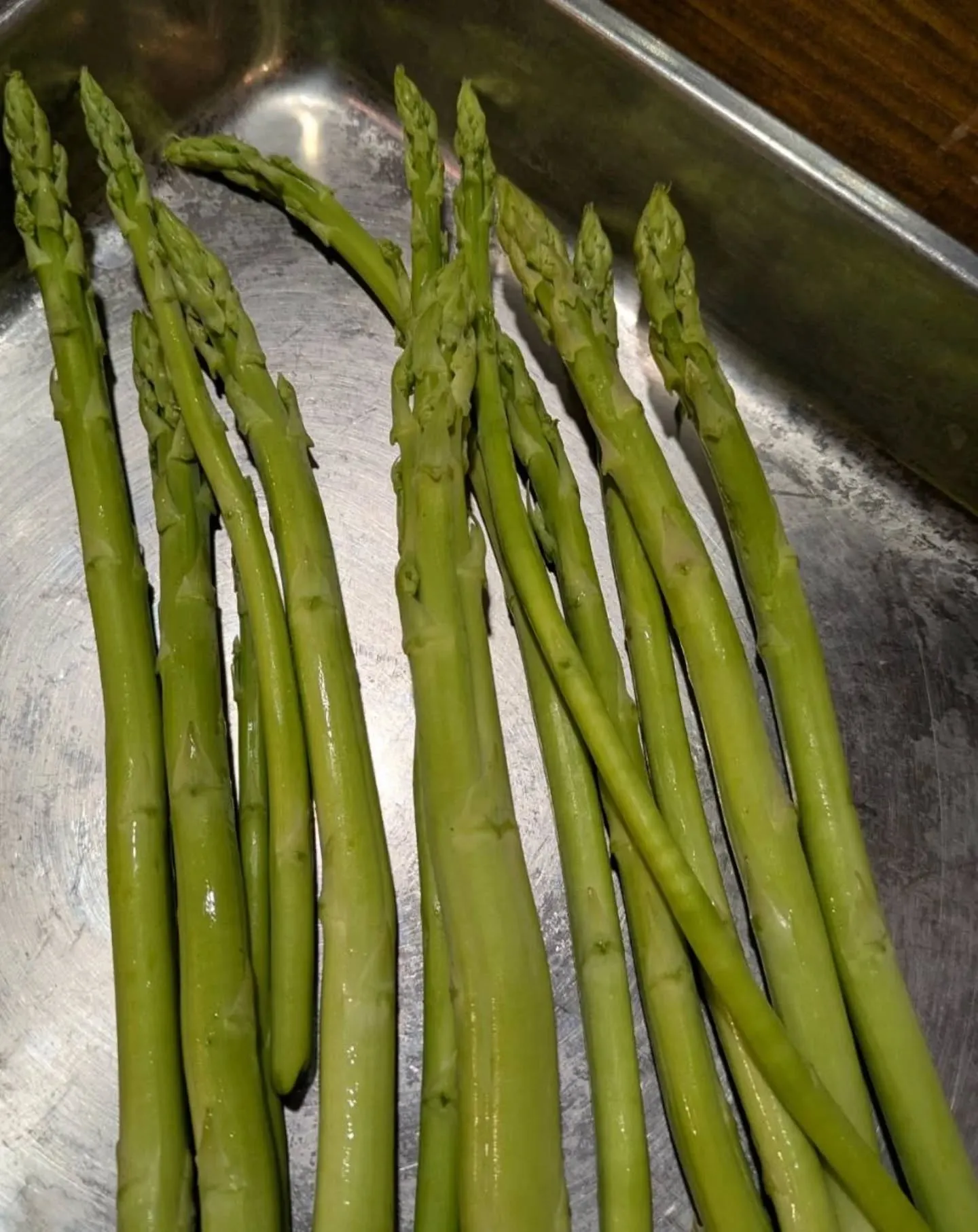 こんばんは！神保町トンちゃんです☺️