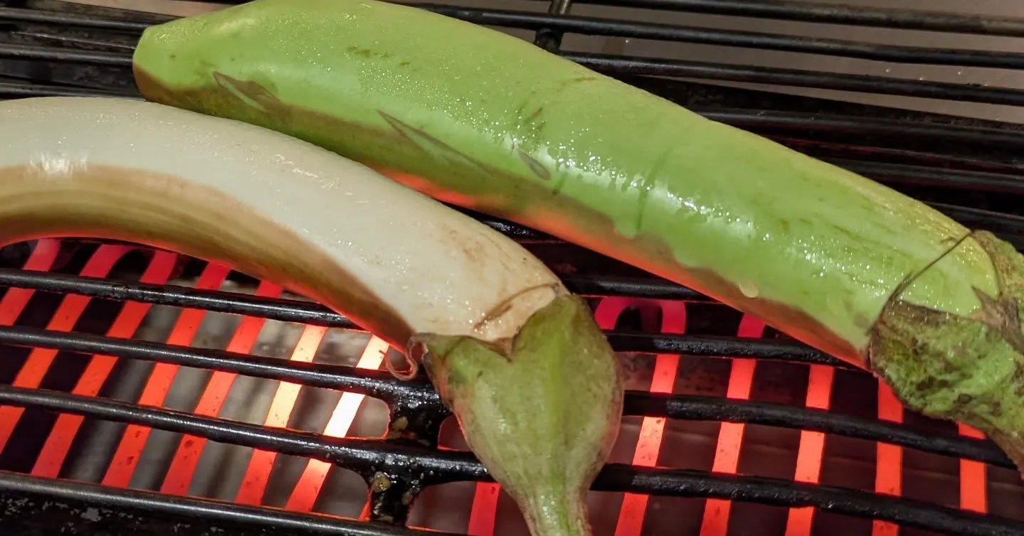 こんにちは‼️