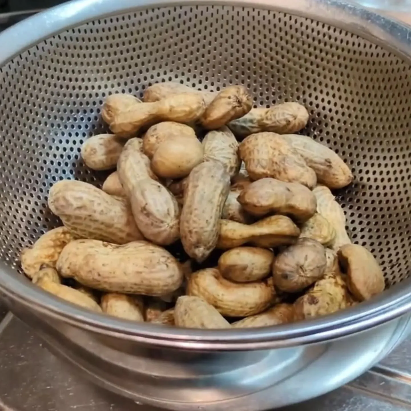 こんばんは！神保町トンちゃんです🐷