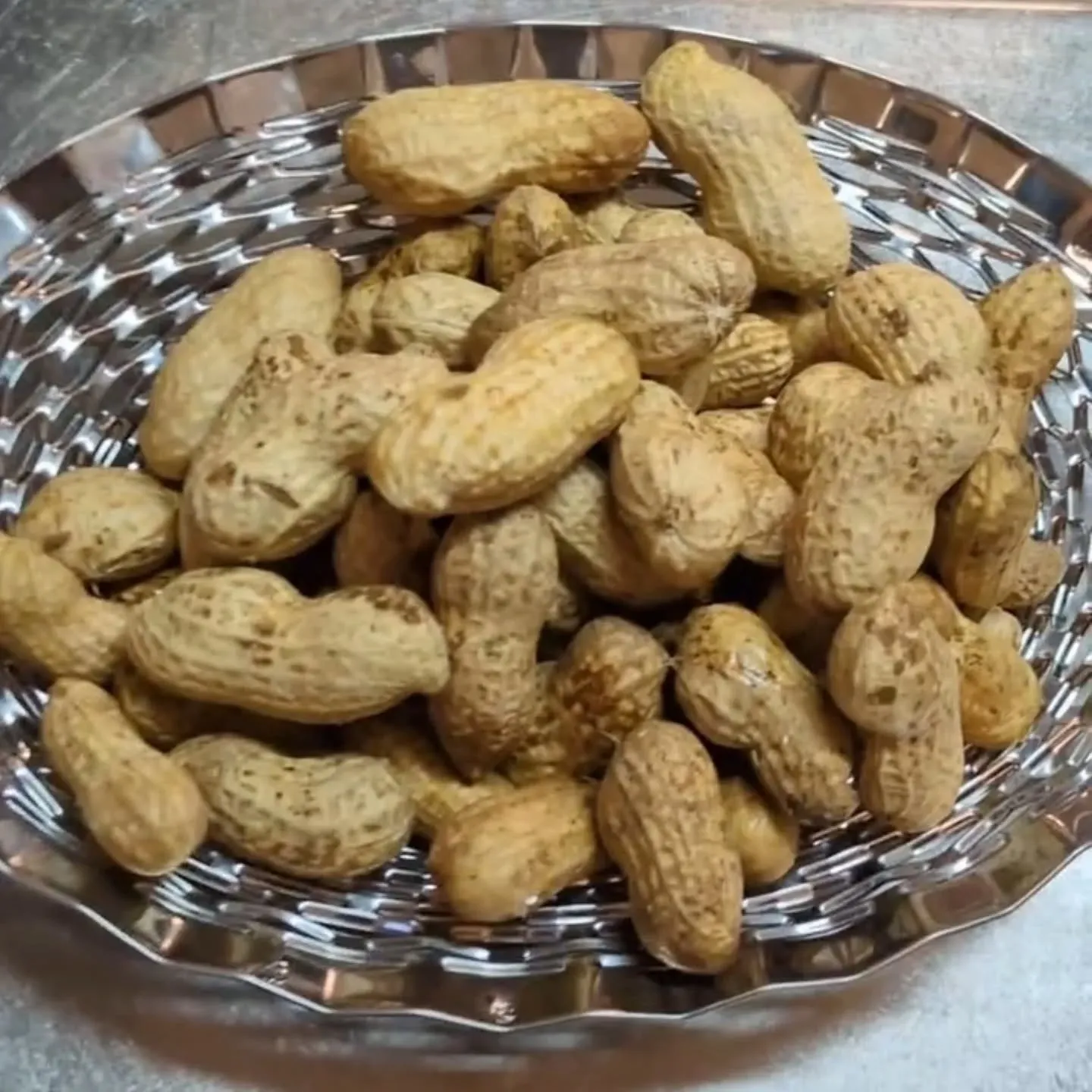 こんばんは！神保町トンちゃんです🐷