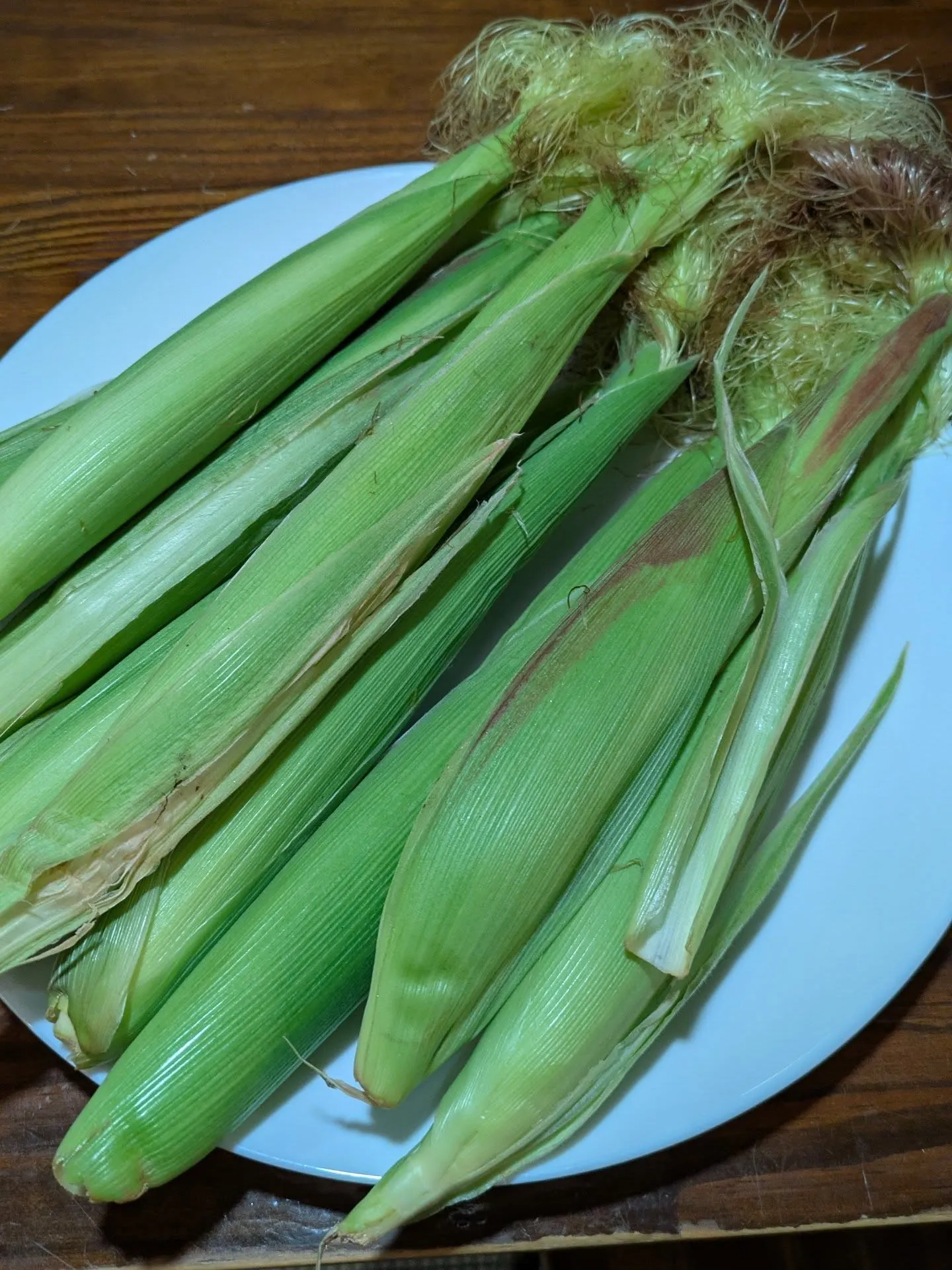 こんにちは‼️