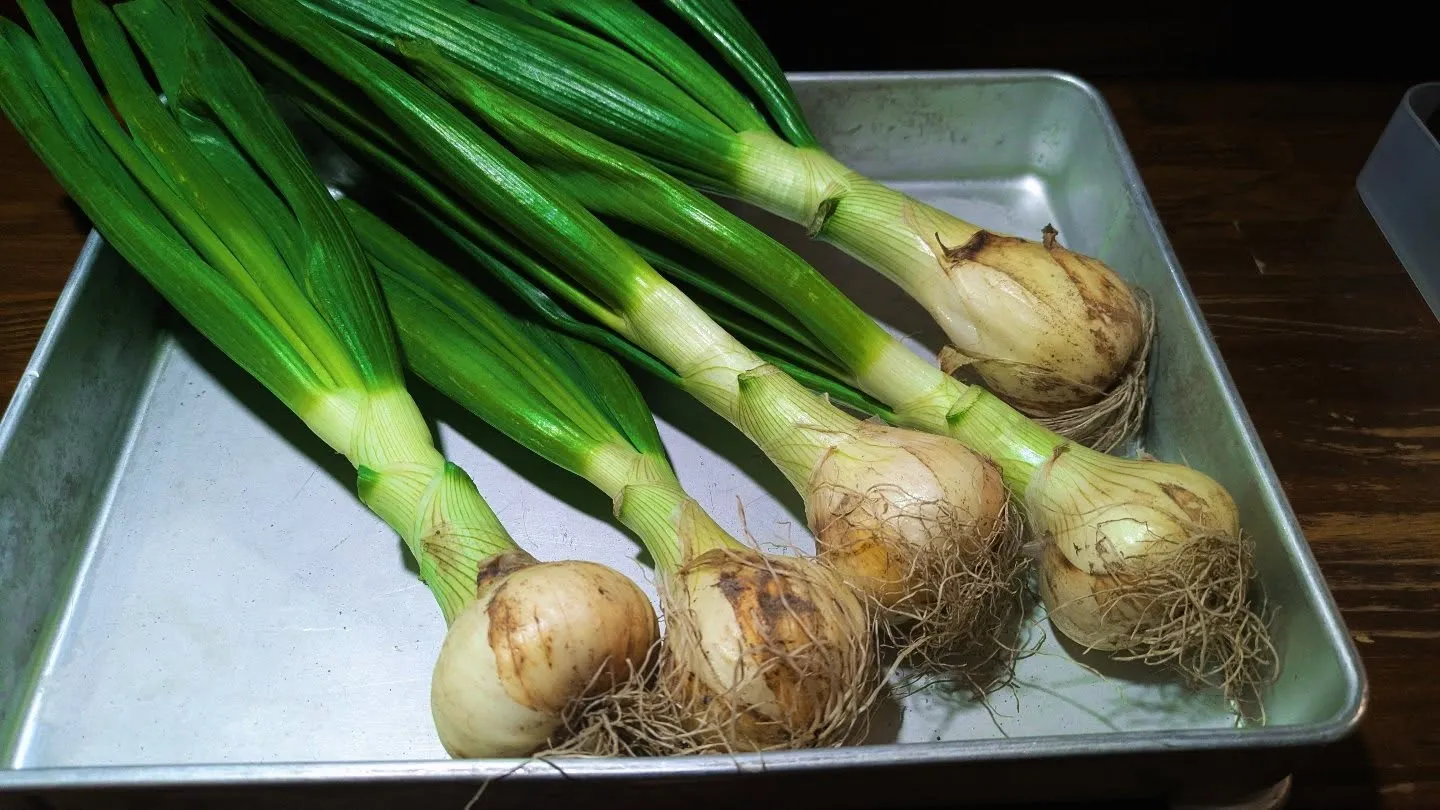 こんにちは‼️