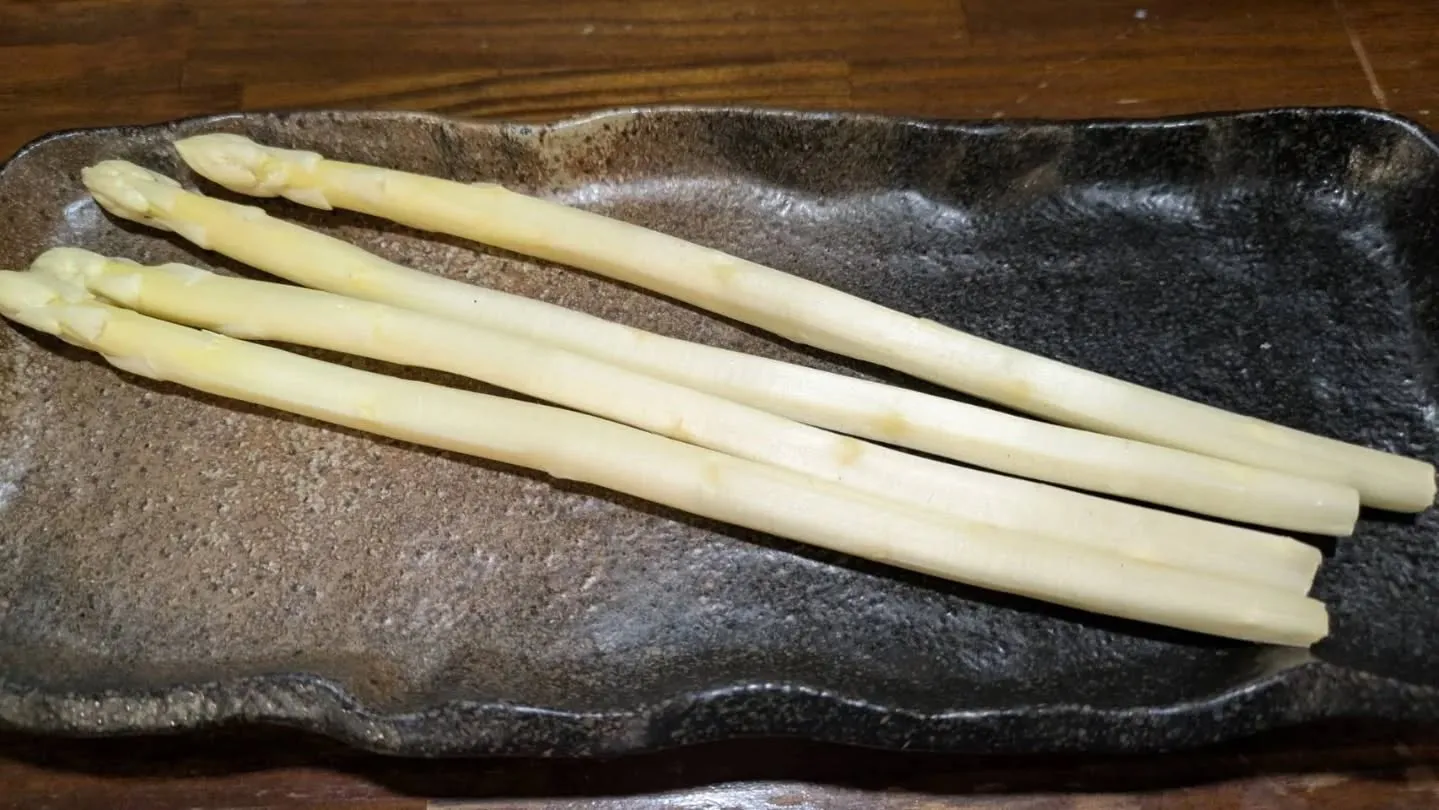 こんばんは！神保町トンちゃんです🐷