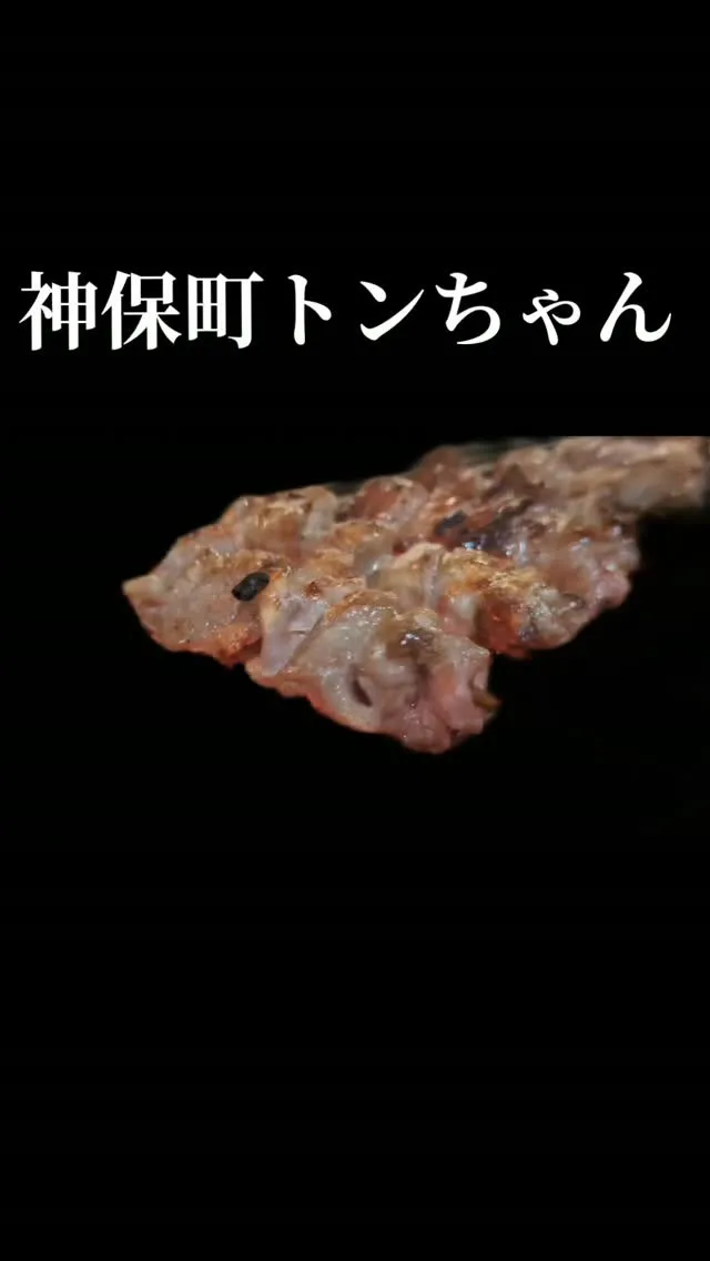 こんばんは🌙神保町トンちゃんです🐷